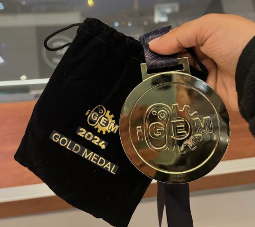iGEM 2024 Gold Medal award